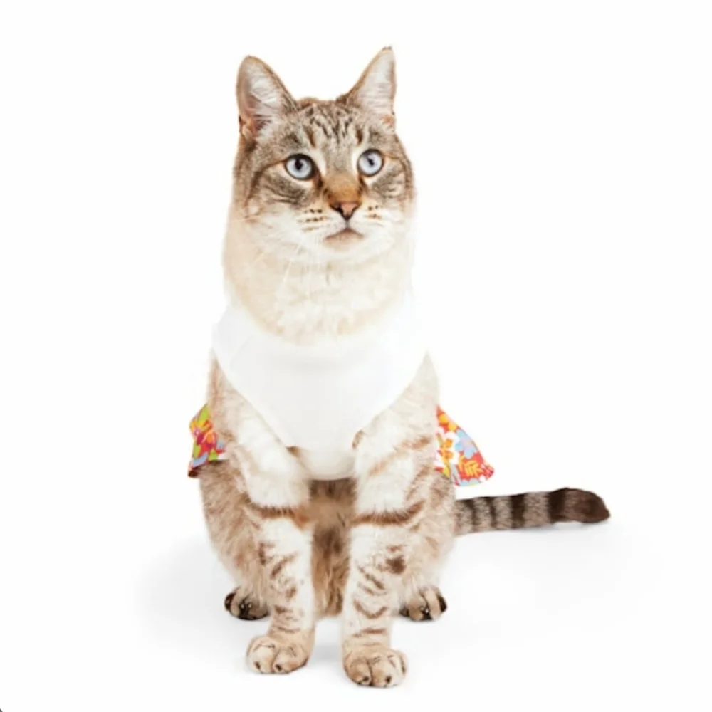 Tropical Kitty Colada Floral Cat Dog Dress Size L XL YOULY NWT